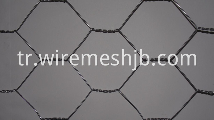 Hexagonal Mesh Fencing